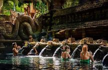 Bali’s Natural Beauty: Waterfalls, Rice Terraces & Sacred Temple