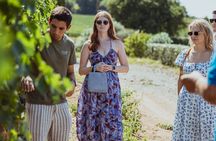 Brunello di Montalcino Wine Tour of 2 Wineries with Pairing Lunch