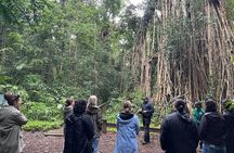 Cairns: Aboriginal Cultural Tour Atherton Tablelands