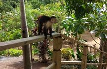 Roatan Monkey & Sloth Park with Beach Break