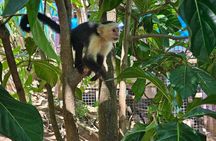Roatan Wildlife Sanctuary, Chocolate ,Rum Tasting & Snorkel Combo