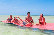 Island Adventure Eco Tour – Explore Key West’s Hidden Backcountry