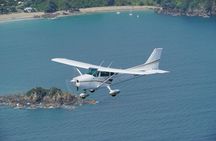 Hauraki Gulf and City Scenic Flight in Auckland Region 