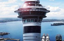 Hauraki Gulf and City Scenic Flight in Auckland Region 