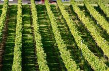 Auckland Region | Multi Island Hopper Package Tour