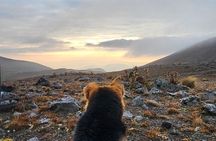 Private Nevado de Toluca Tour from CDMX. Sunrise, Summit, or Hike