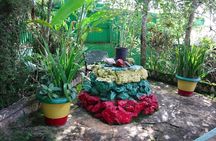 Bob Marley Mausoleum - Nine Mile Private Tour St. Ann Ocho Rios