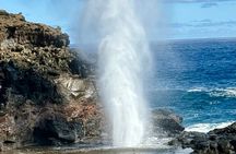Private Tour of Maui, the Valley Isle