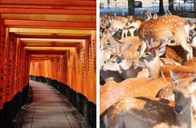 Kyoto and Nara in 1 Day in Fushimi Inari and Deer Park