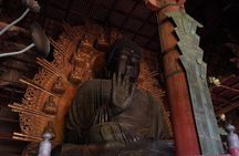 Kyoto and Nara in 1 Day in Fushimi Inari and Deer Park