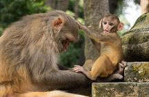 Kathmandu All 7 UNESCO World Heritage Sites Tour