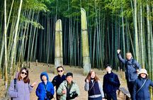 Busan Private Tour with Licensed Local guide