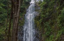 Materuni Waterfalls Hiking Tour with Coffee and Traditional Meal 
