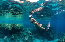 Bali Blue Lagoon Snorkeling Tour All Inclusive