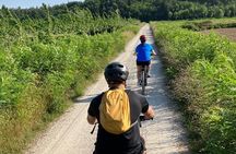 LUCCA the Puccini bike path and Massacciuccoli lake 