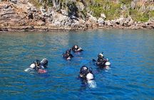Scuba Diving in Rio de Janeiro
