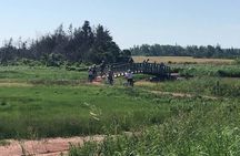 E-Bike Day Tour From Cavendish to Rustico