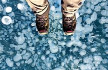 Abraham Lake Ice Bubble Tour - Local Guide! 