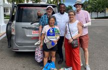 Ocho Rios Sightseeing Tours and Shopping
