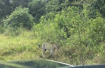 2 Days Akagera Wilderness Safari Big 5 and Highest Peak Camping
