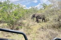 2 Days Akagera Game Drive with overnight to a Safari Resort