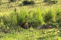 2 Days Akagera Game Drive with overnight to a Safari Resort