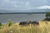 2 Days Akagera Game Drive with overnight to a Safari Resort