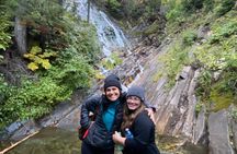Waterton's Wild Beauty: A Hidden Gem in the Rockies