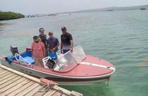 Boat Charters and Kayak tours