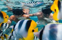A private tour with Blue Lagoon