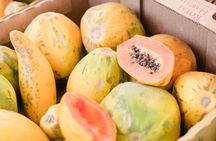 PRIVATE TOUR-Ultimate Circle Island Tour of Oahu