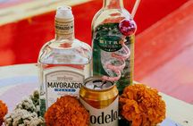 Xochimilco & Mexican Party with Guacamole & Unlimited Drinks