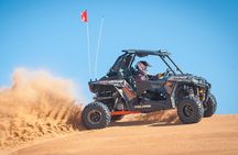 Doha Safari Adventures, Dune Bashing, Sand Buggy, Camel Ride Tour