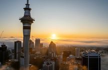 Auckland Full Day Attractions & Museums Tour