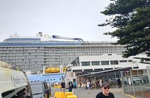 Adelaide Cruise Ship Private Tours 