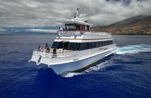 Maui Whale Watch & Snorkel from Ma'alaea Harbor Pride of Maui 