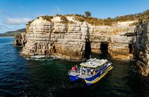 90 minute Cape Raoul Cruise and Port Arthur Historic Site entry