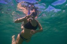 Private Snorkeling Tour In Sydney's Marine Reserve