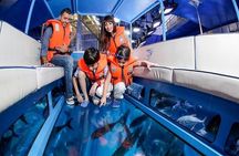 Dubai Aquarium and Penguin Cove with Transfers Option