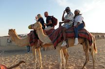 Dubai Desert Safari with Quads, BBQ Dinner, Camel ride, & Shows 