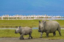 Discover Our Best 2-Day Tanzania Budget Group Lodge Safari Tour