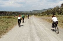Day trip Hells Gate park and Lake Naivasha Boat ride from nairobi