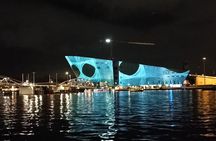  ‌Amsterdam‌ Light‌ ‌Festival‌ ‌Boat‌ ‌Tour‌ ‌ - Small Group