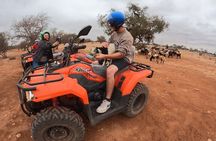 Agadir Quad Bike Safari and Goats in Argan Trees with Tea