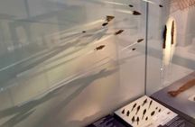 Archaeological Museum of Thessaloniki Private Guided Tour