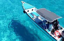 Johnny Kay and Aquarium Private Boat by the Sea of 7 Colors