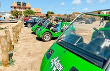 Private Guided Tour of Sal Island | Electric Car with Audio Guide
