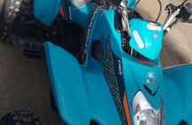 Agafay Desert Adventure: Jet Ski, Quad, Camel & Dinner Show 
