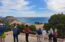 Alicante & Elche. Transport, guide and monuments.