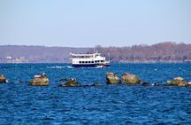 75 Minute Seal Watching Tour from Wickford